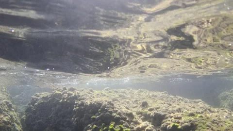 Underwater view of a riverbed showing intricate rocks covered in algae, air Stock Footage 343162422