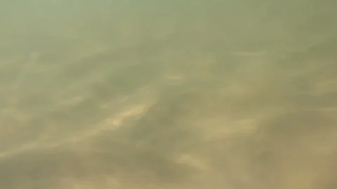 Underwater view on sand Stock Footage 106030218