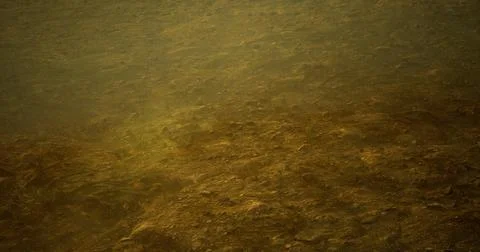 Underwater view of sandy bottom with aquatic vegetation in shallow water Stock Illustration