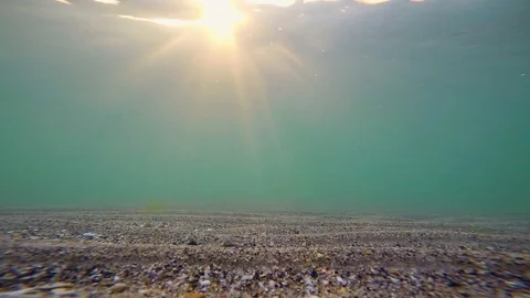 Underwater view of the sea surface Stock Footage 88883898