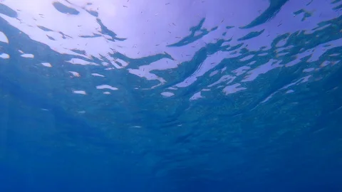 Underwater view of the sea surface Stock Footage 129067561