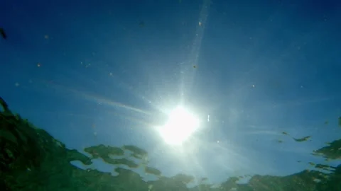 Underwater view of sea surface with sunlight illuminating waves Видео 279901753