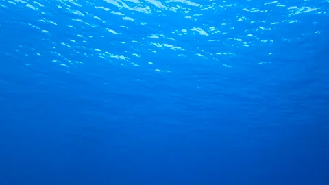 Underwater view with sea waves Stock Footage 170922151