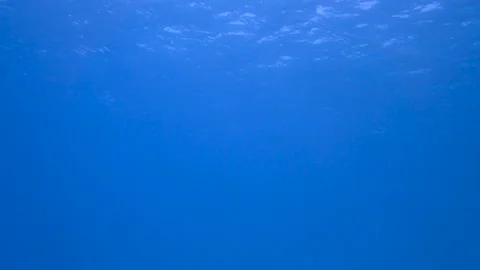 Underwater view with sea waves Stock Footage 170922999