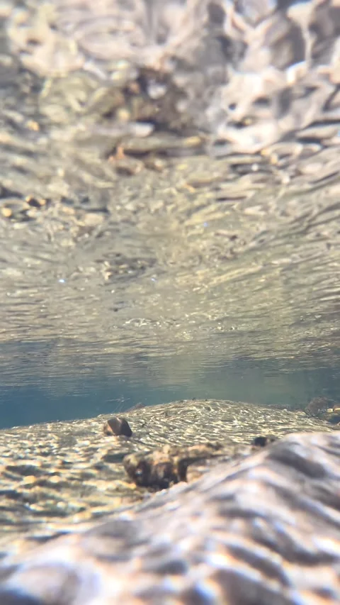 Underwater View of a Shallow Freshwater Stream with Golden Sun Rays Stock Footage 342468965