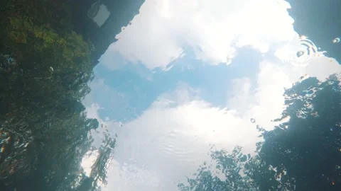 Underwater view of a sky and trees from the bottom of a pool through the water Video stock 153415759