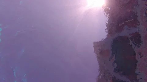 Underwater View Sky Sun Stock Footage 157954085