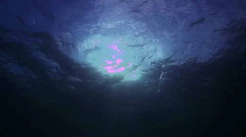 Underwater View of the Sun 3 스톡 동영상 19079567