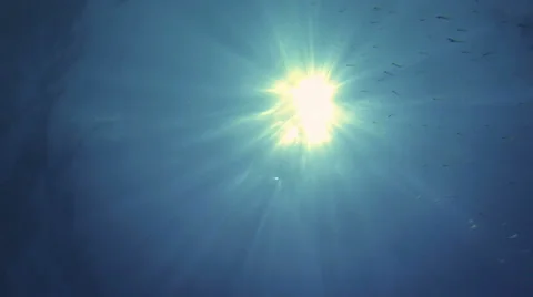 Underwater View of Sun Video stock 29939847