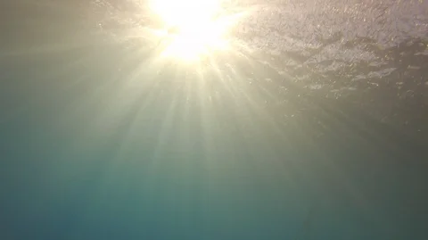 Underwater view sun light Stock-Footage 107078259