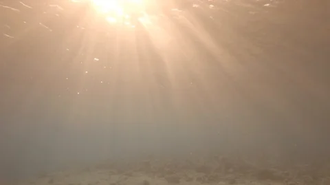 Underwater view sun light Stock Footage 107078269
