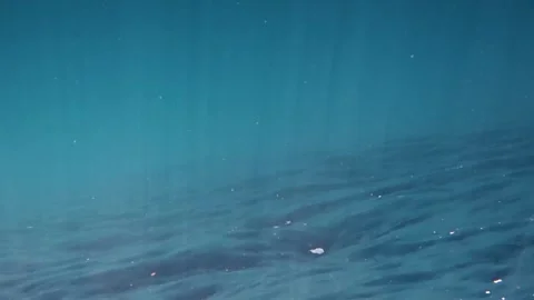 Underwater view of sun rays beaming through clear blue ocean water surface Stock Footage 340562691