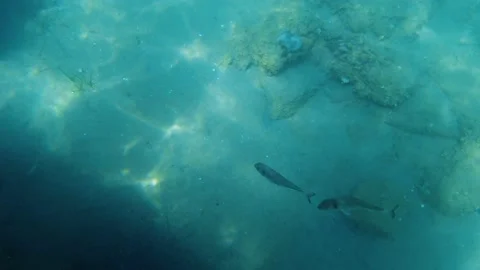 Underwater view of sun rays shining on rocky seabed Stock Footage 163014732