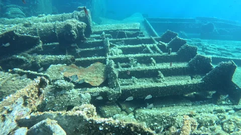 Underwater view of a sunken shipwreck covered in marine growth, with tropical 스톡 동영상 317385290