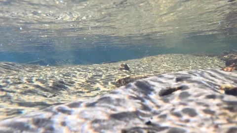 Underwater View of Sunlight Refracting on a Shallow River Bed Stock Footage 341929006