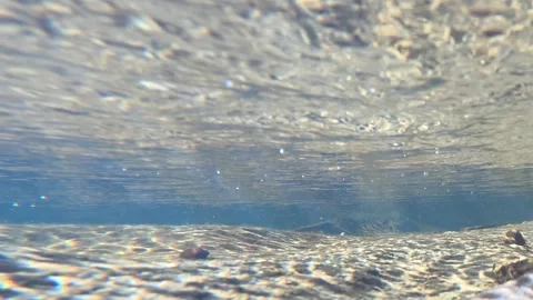 Underwater View of Sunlight Refraction on Freshwater Creek Bed Stock Footage 341836679