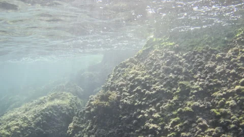 Underwater view of sunlight shining through ocean surface ripples and bubbles 動画素材 343247135