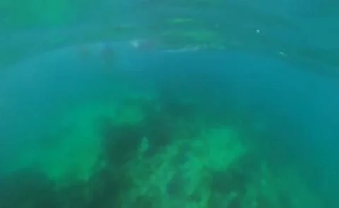 Underwater view of sunlit clear turquoise ocean water over natural coral re.. Stock Photos