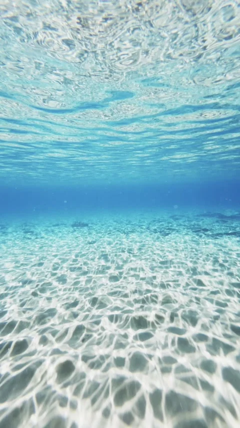 Underwater view. Sunrays shining through the clear blue water. Stock Footage 300773040
