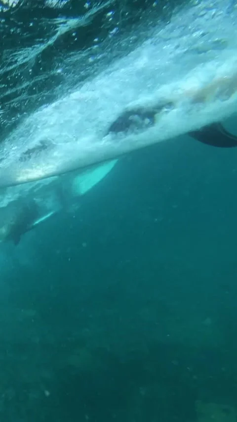 Underwater view of surfer in the ocean.Vertical video Stock Footage 296209192
