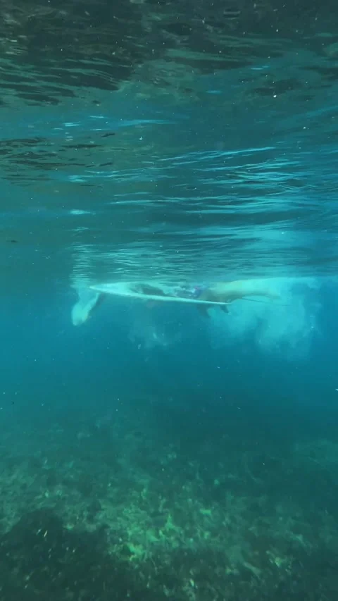 Underwater view of surfer in the ocean.Vertical video Stock Footage 296209207
