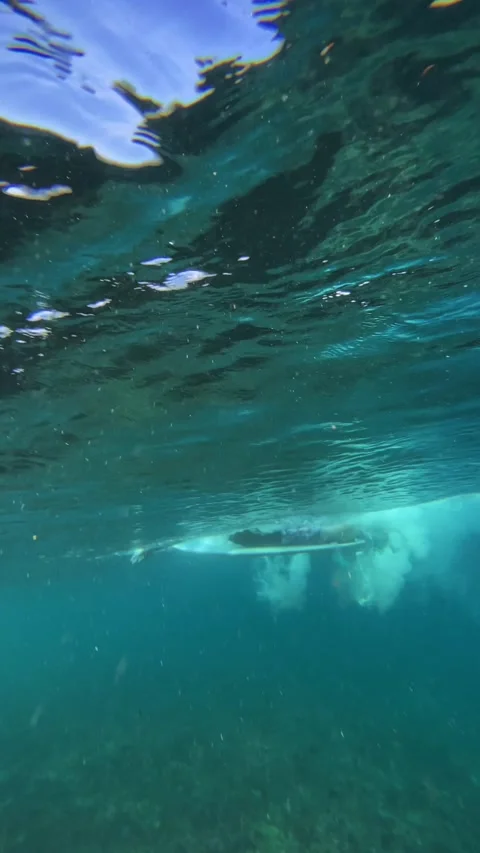 Underwater view of surfer in the ocean.Vertical video Stock Footage 296209213