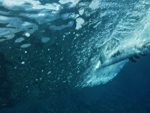 Underwater View of Surfing Stock Footage 71328996