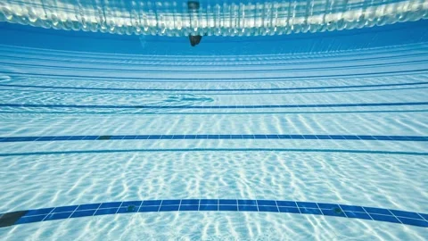 Underwater view of swimmers training laps in olympic pool with lane markers.. Stock Footage 337355969