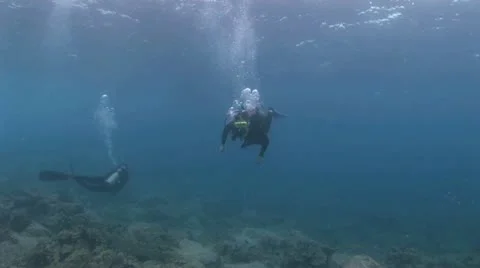 Underwater View of Two Divers Swimming Through A Coral Reef 2 Video stock 19090925