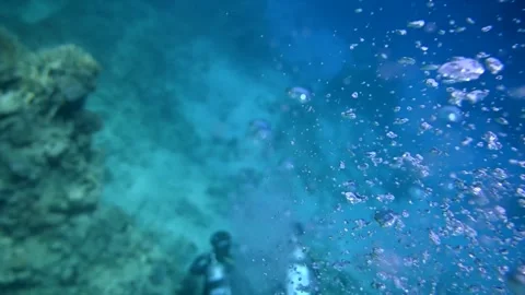 Underwater view of two scuba divers exploring coral reef with bubbles risin.. Stock Footage 339751713