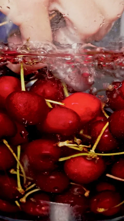 Underwater View of Washing Cherries Stock Footage 277733341
