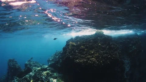 Underwater view of water surface and coral rock Video stock 82515326