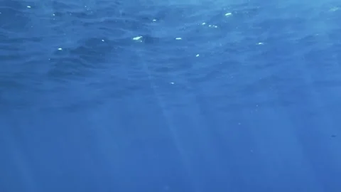Underwater View of Water Surface from Below in 4K Stock Footage 324510236