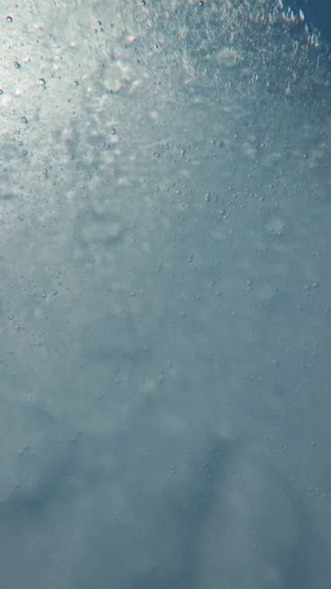 Underwater view of white ice with air bubbles frozen in it and tree branch Stock Footage 331610702
