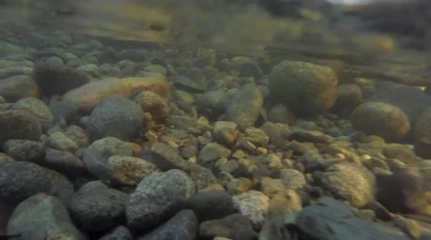 Underwater views of a stream Stock Footage 41453235