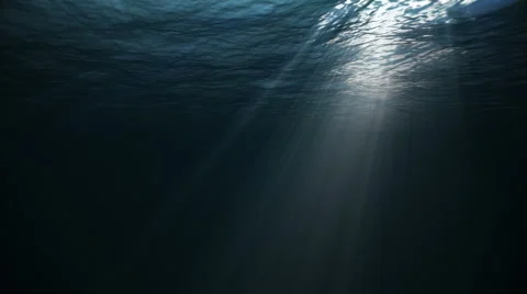 Underwater w/ sunlight Video stock 4681893