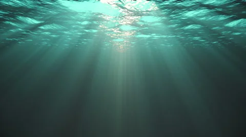 Underwater w/ sunlight Stock Footage 4772869