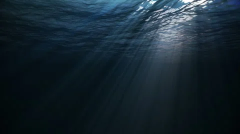 Underwater w/ sunlight Stock Footage 4776089