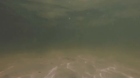 Underwater walking clip. Stock Footage 152426124