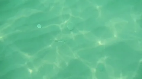Underwater, Water Stock Footage 37022750