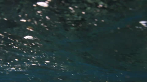 Underwater wave at Teahupoo Stock Footage 44186392