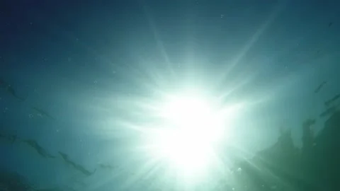 Underwater waves with the rays of light Vidéo 169208691