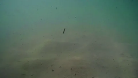 Underwater Waves in Slow Motion Stock Footage 73807720