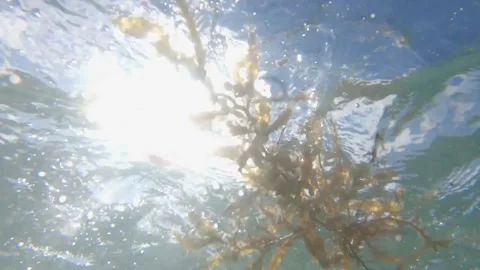 Underwater Waves Sun Video stock 200798238