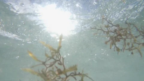 Underwater Waves Sun Video stock 200798239