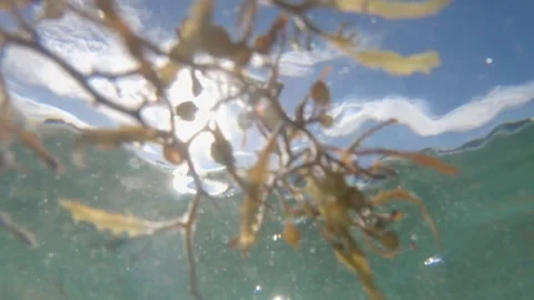 Underwater Waves Sun Stock Footage 200798265