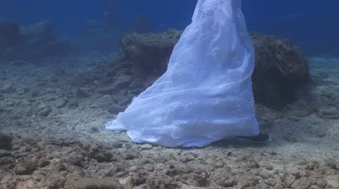 Underwater wedding III 库存影片 9964780