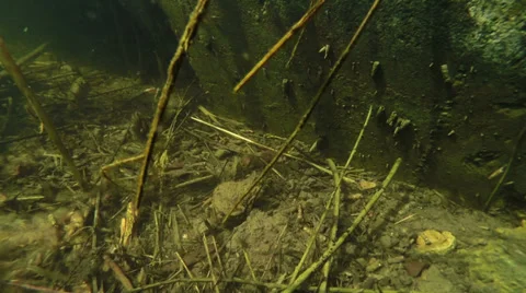 Underwater World 2 Video stock 36766004