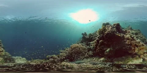 The underwater world of a coral reef. Philippines. Virtual Reality 360 Stock Footage 153351908