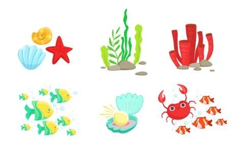 Underwater World Elements Set, Tropical Fishes, Algae, Corals, Crabs, Sea Shell Stock Illustration